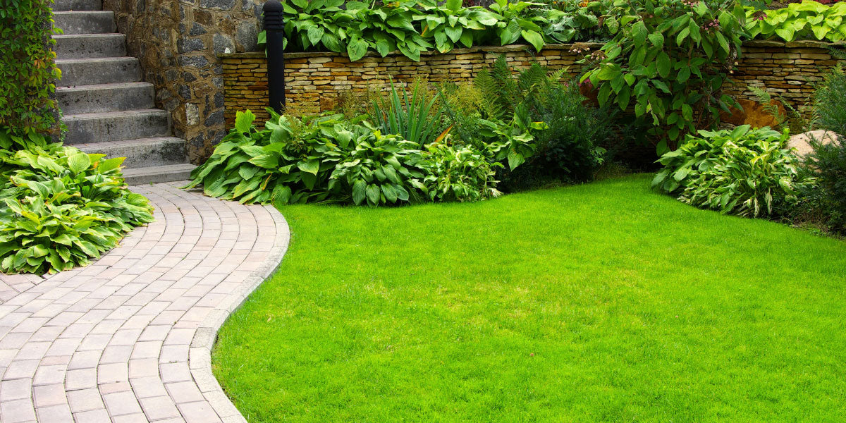 Garten mit Rasen und Beeten.