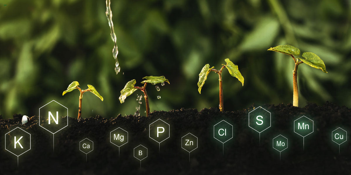 Icons geben die Nährstoffverfügbarkeit im Boden an.