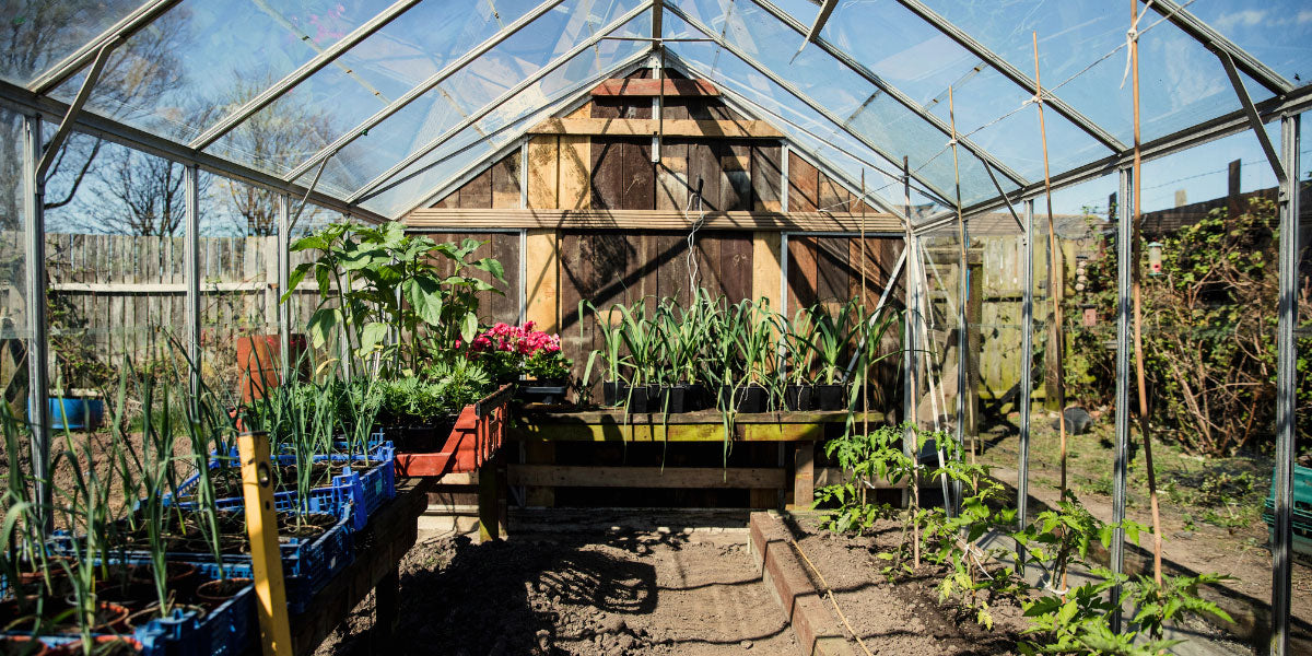 Gewächshaus im Winter.