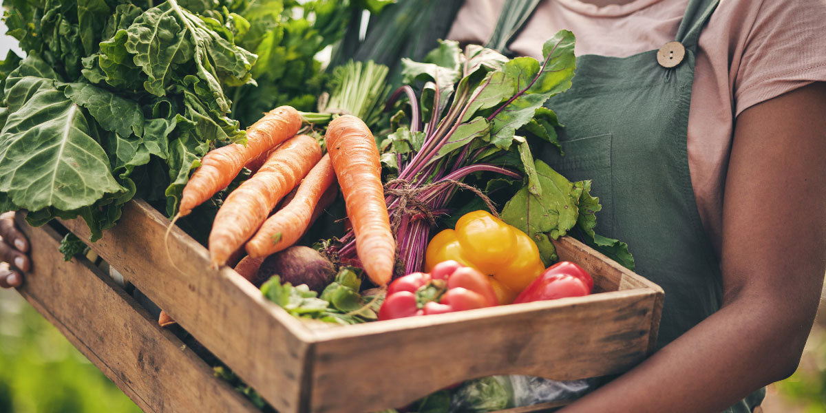 Person hält Kiste mit verschiedenem Gemüse fest.