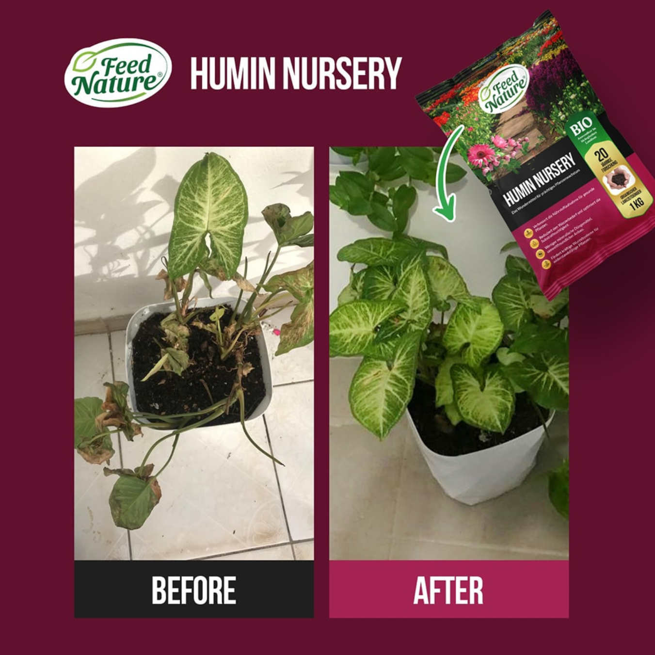 HUMIN NURSERY