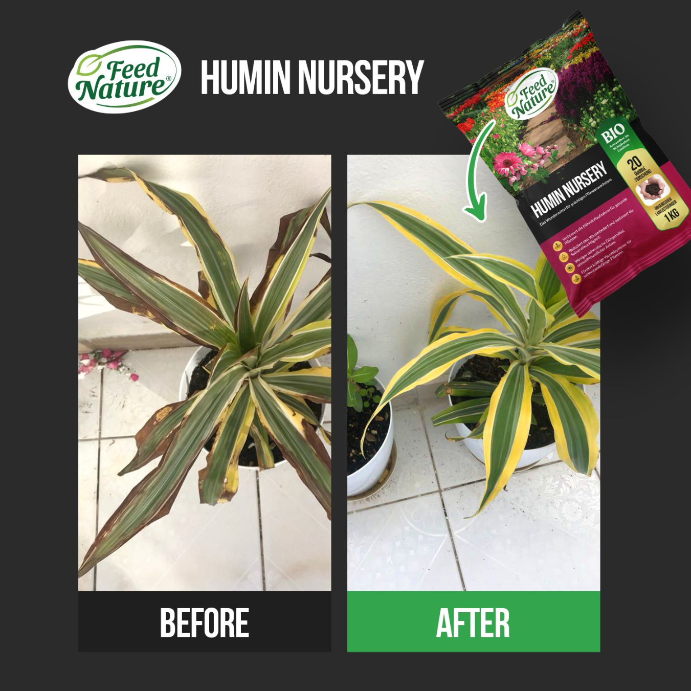 HUMIN NURSERY