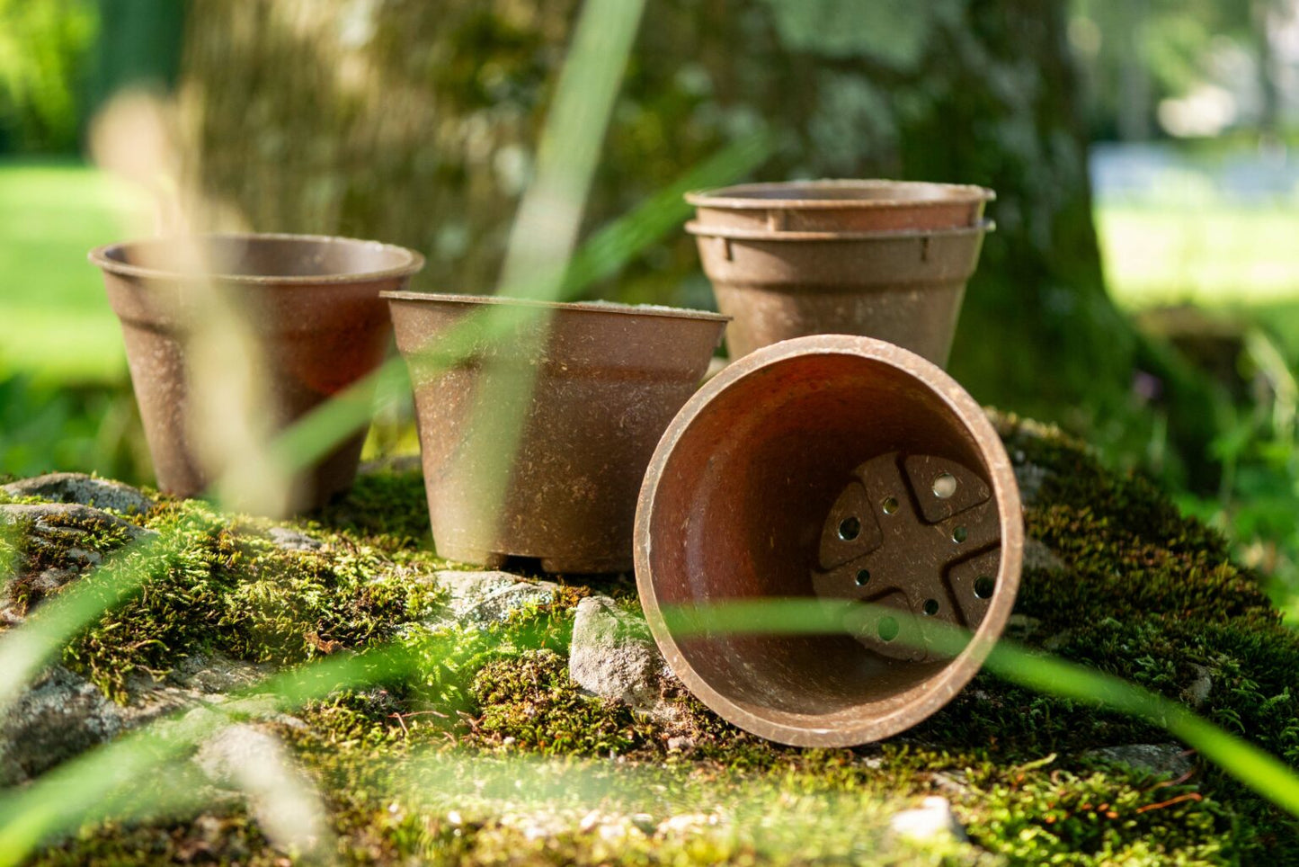 Kompostierbarer Pflanztopf Greta