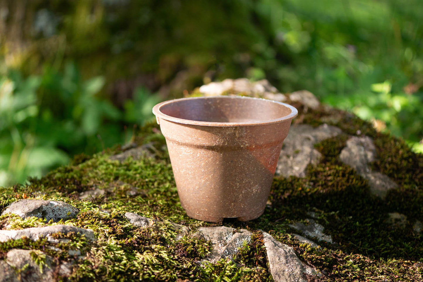 Kompostierbarer Pflanztopf Greta