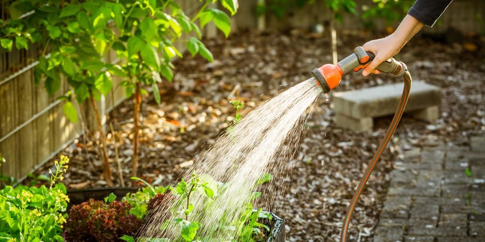 Wasserverbrauch im Garten reduzieren